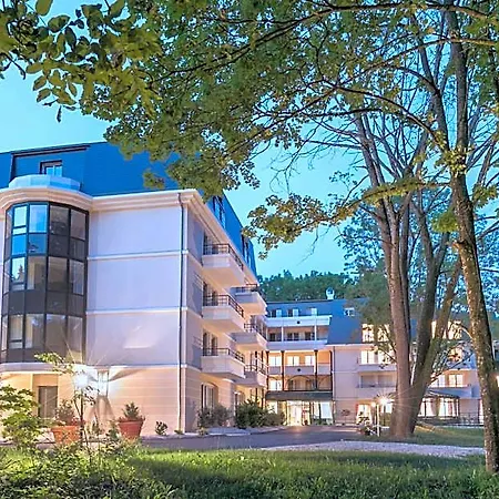 Medicis Les Petites Roches 3* Dijon